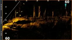 Lowrance ActiveTarget Transducer Only 13 Lowrance ActiveTarget Transducer Only -Kylmakassit Store 000 15594 001 6